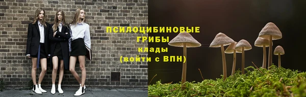 стафф Апатиты