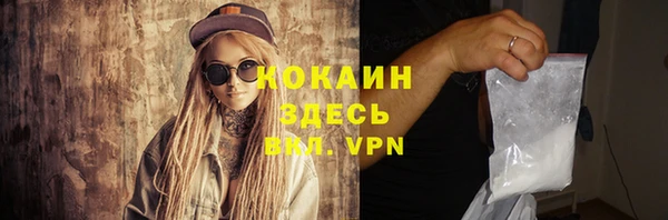 твердый Богородицк