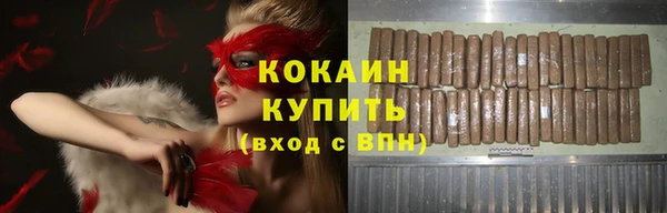 твердый Богородицк