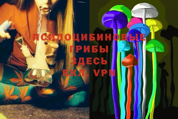 амфетамин Анжеро-Судженск