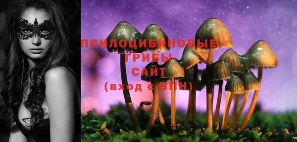 герыч Богородск