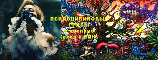 тгк Богданович